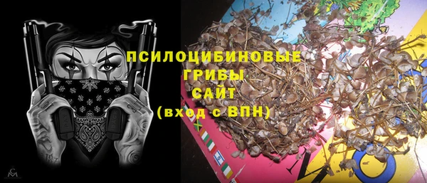 шишки Кинешма